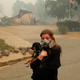 Image for article titled Photos: The lost animals of California’s destructive wildfires